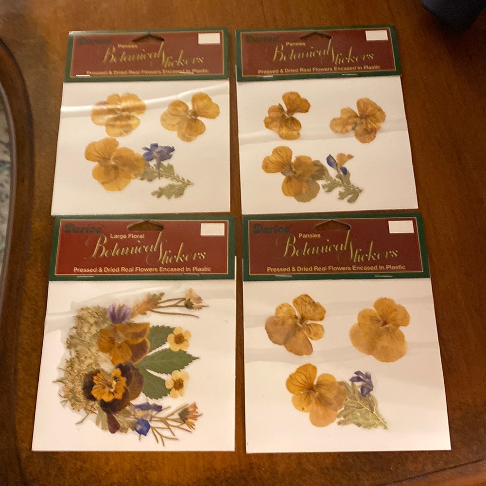 Darice botanical flowers 🌼🌿Pressed and dried real flowers! 🌼🌿